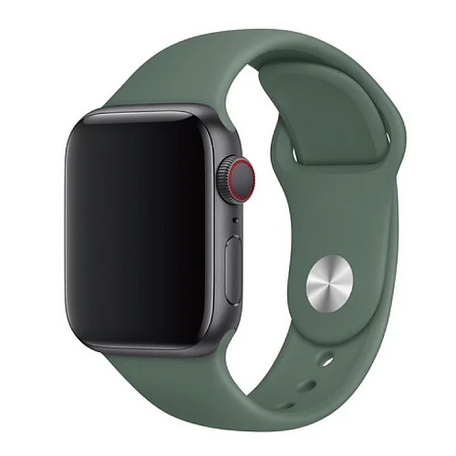   :    Apple Watch 42/44/45mm -